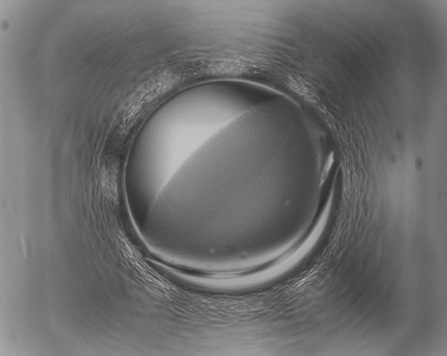 X0000057040681200509161440