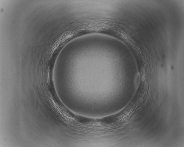 X0000057040685200509161439