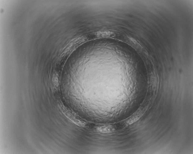 X0000057040761200509161439
