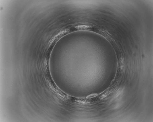 X0000057040763200509161439