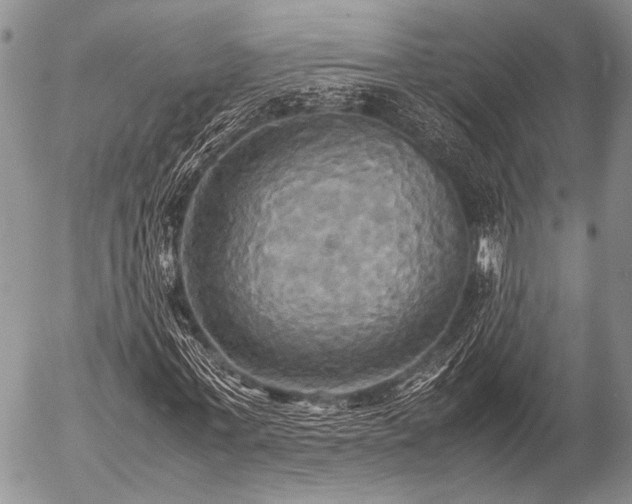 X0000057040771200509161438
