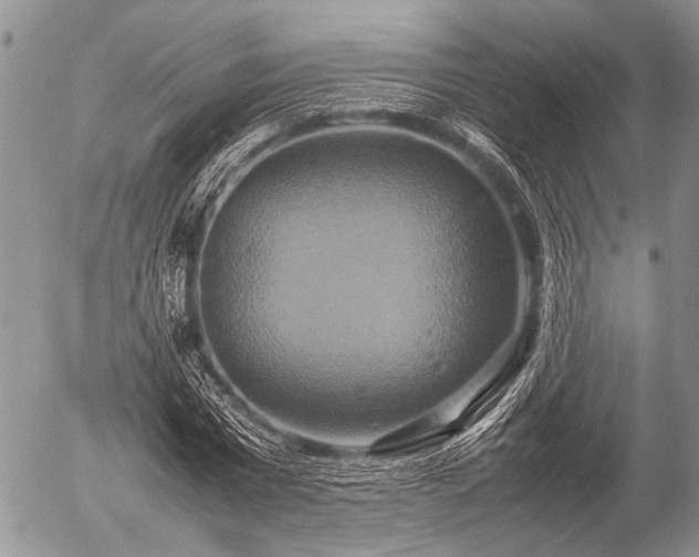 X0000057040777200509161438