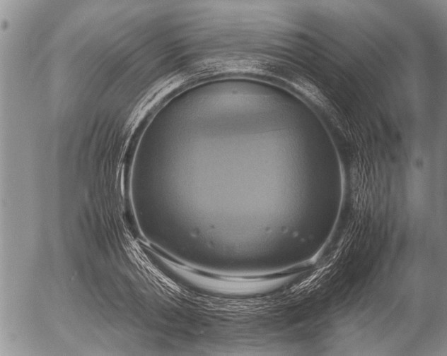 X0000057040790200509161438