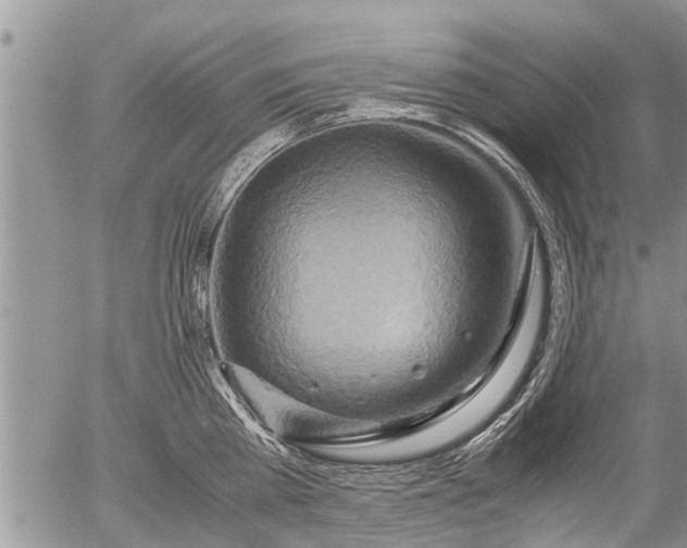 X0000057040809200509161437