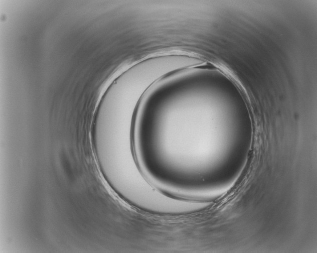 X0000057040813200509161437
