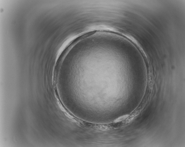 X0000057040815200509161437