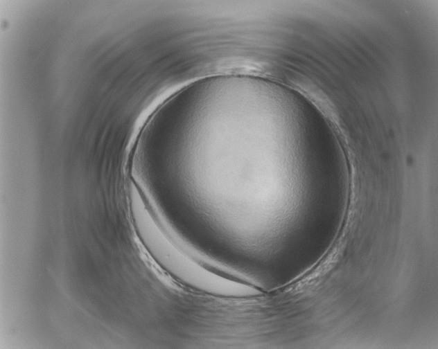 X0000057040816200509161437