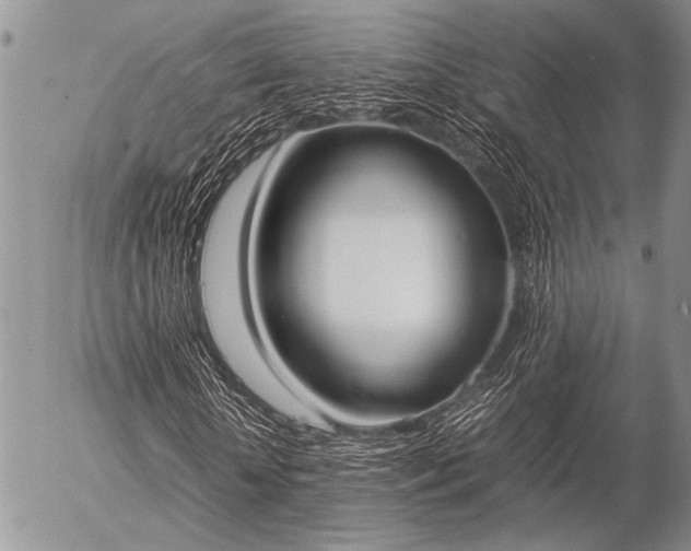 X0000057040818200509161437