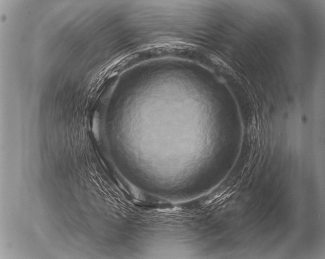 X0000057040822200509161437