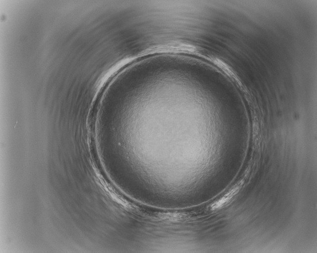 X0000057040854200509161437