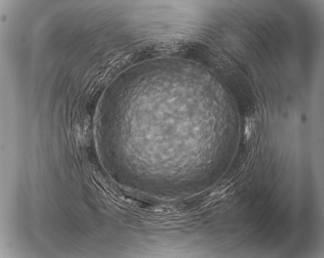 X0000057040867200509161437