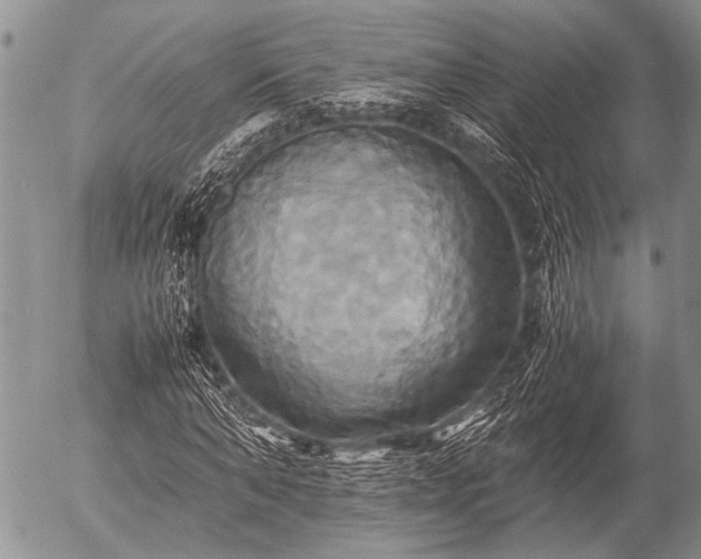 X0000057040870200509161436