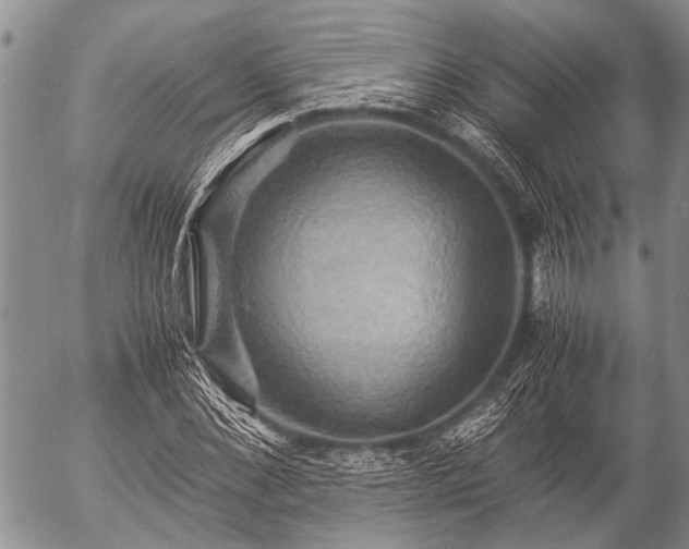X0000057040876200509161436
