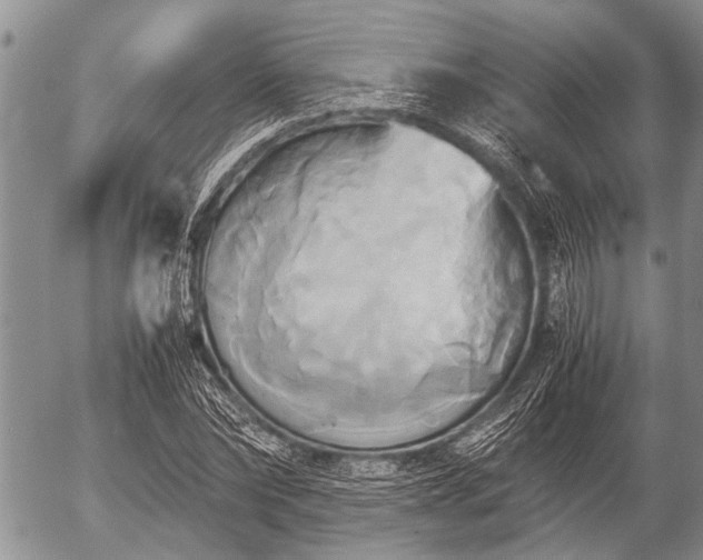 X0000057040878200509161436