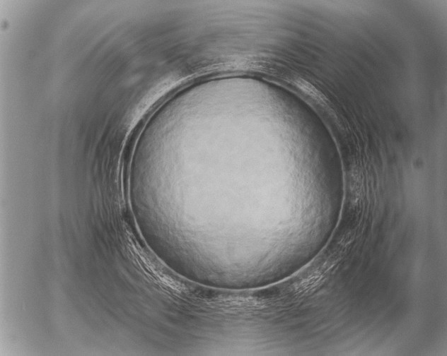 X0000057040886200509161436