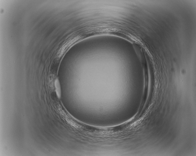 X0000057040889200509161436