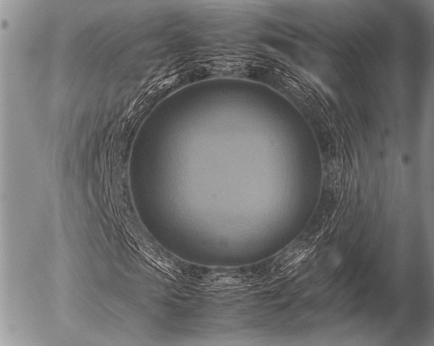 X0000057040913200509161435