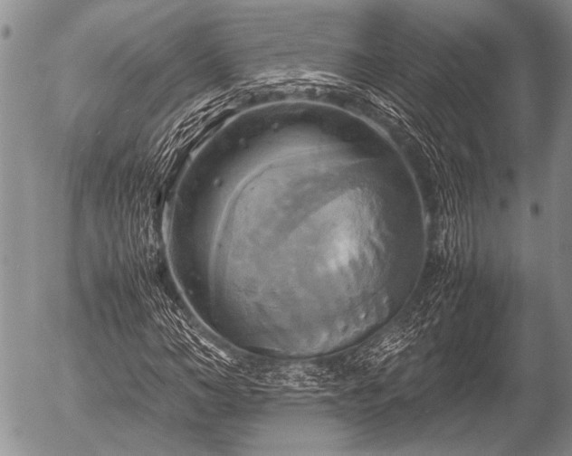 X0000057040966200509161435