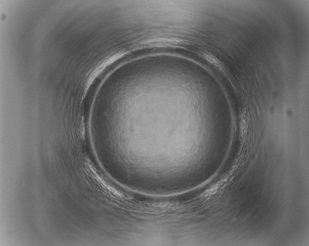 X0000057040973200509161435