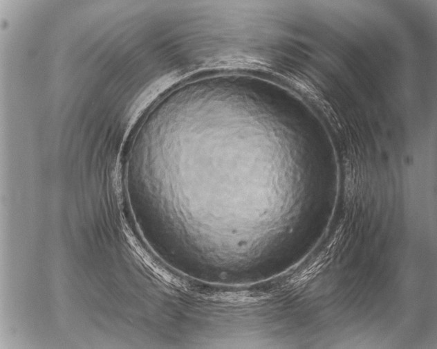 X0000057040990200509161434