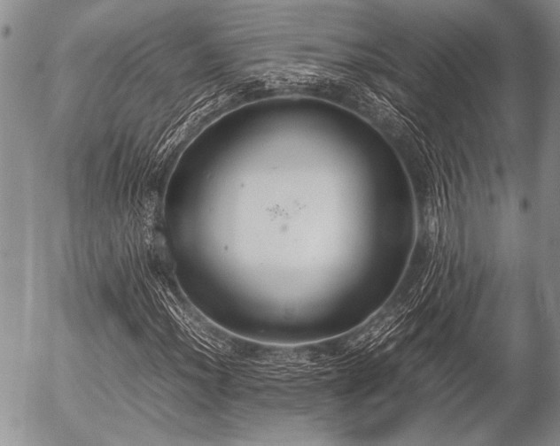 X0000057041012200509161433