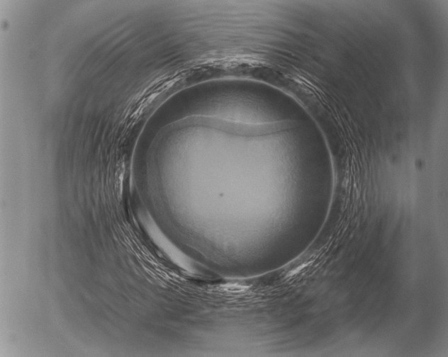 X0000057041014200509161433