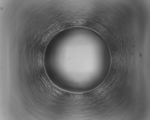 X0000057041058200509161433
