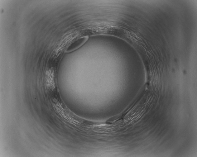 X0000057041060200509161433