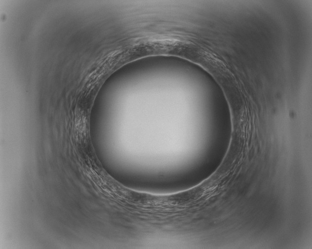 X0000057041061200509161433
