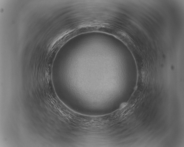 X0000057041064200509161433
