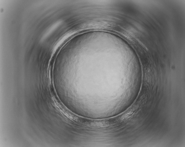 X0000057041078200509161433