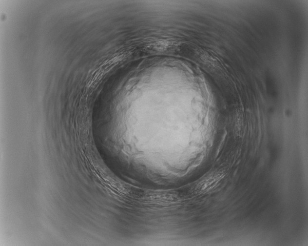 X0000057041105200509161432