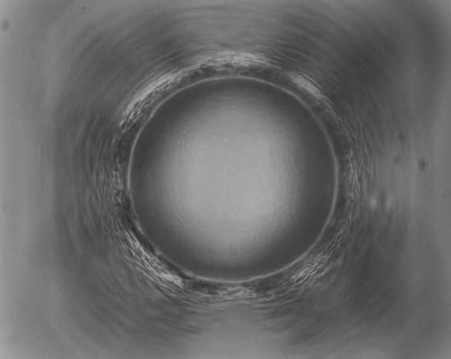 X0000057041112200509161432