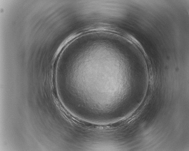 X0000057041146200509161433
