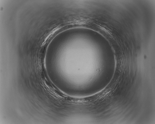 X0000057041160200509161432