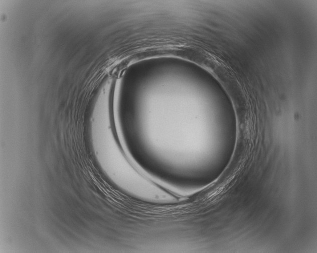 X0000057041161200509161432