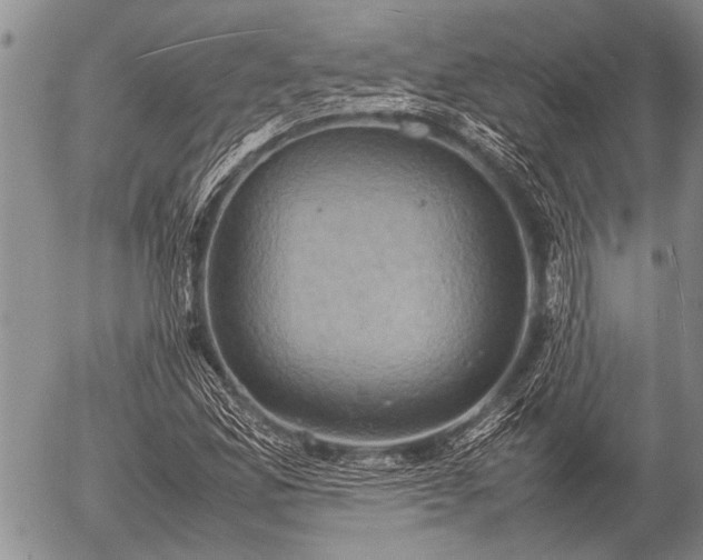 X0000057041165200509161432