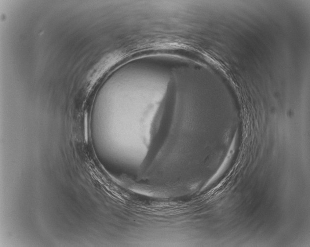 X0000057041171200509161432