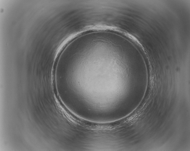 X0000057041183200509161431