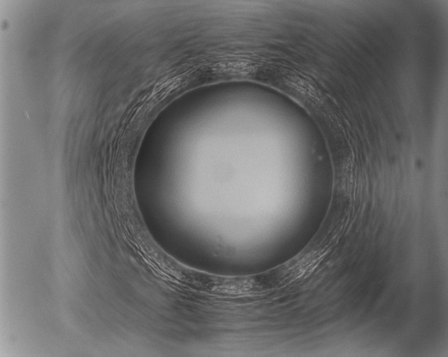 X0000057041201200509161430