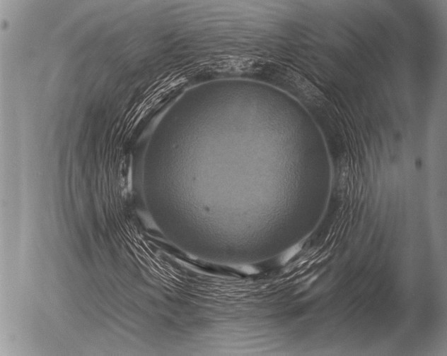 X0000057041202200509161430