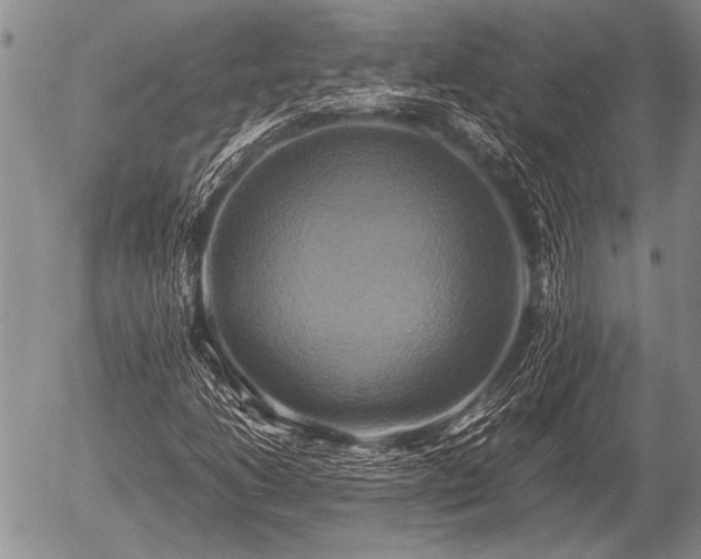 X0000057041206200509161430