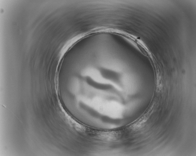 X0000057041247200509161431