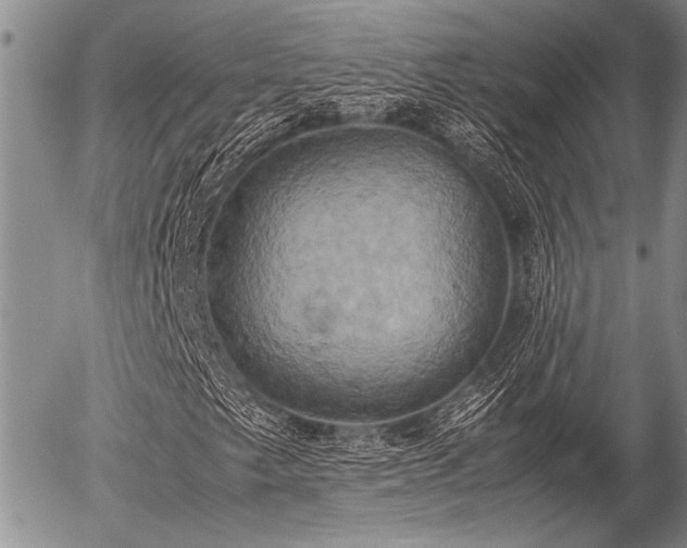 X0000057041249200509161430