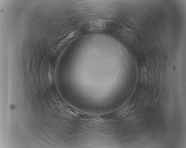 X0000057041250200509161430