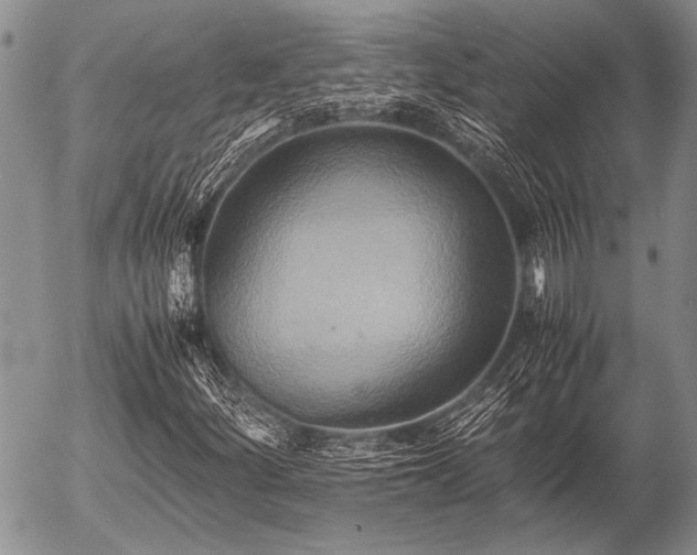 X0000057041252200509161430
