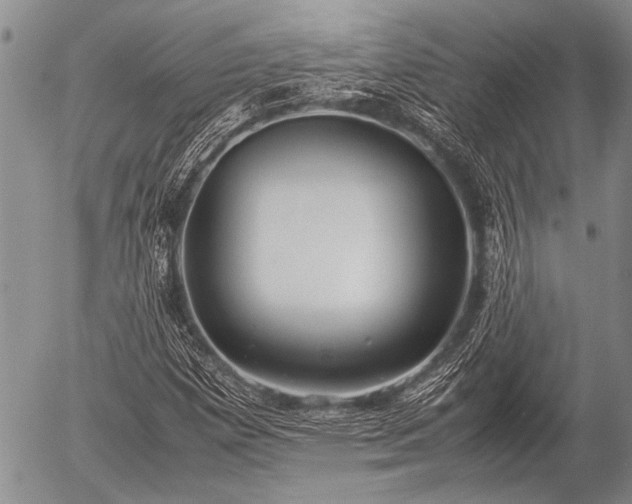 X0000057041257200509161430