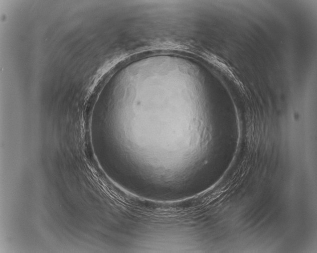 X0000057041264200509161430
