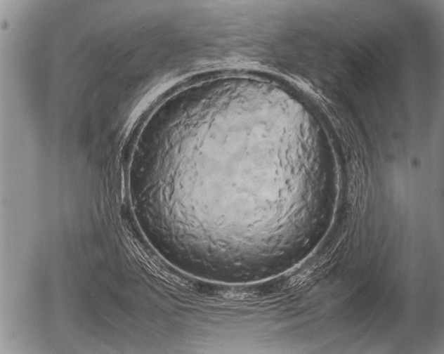 X0000057041271200509161430