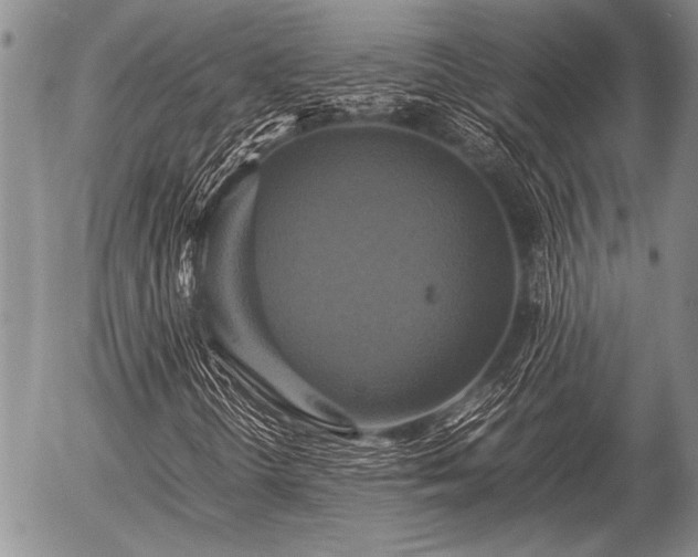 X0000057041298200509161429